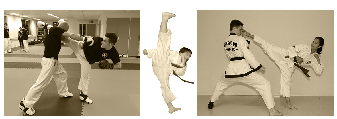 Sportschool Ho Sin Sul