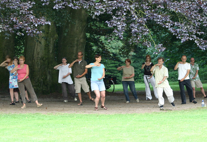 Stichting Tai Chi Gong