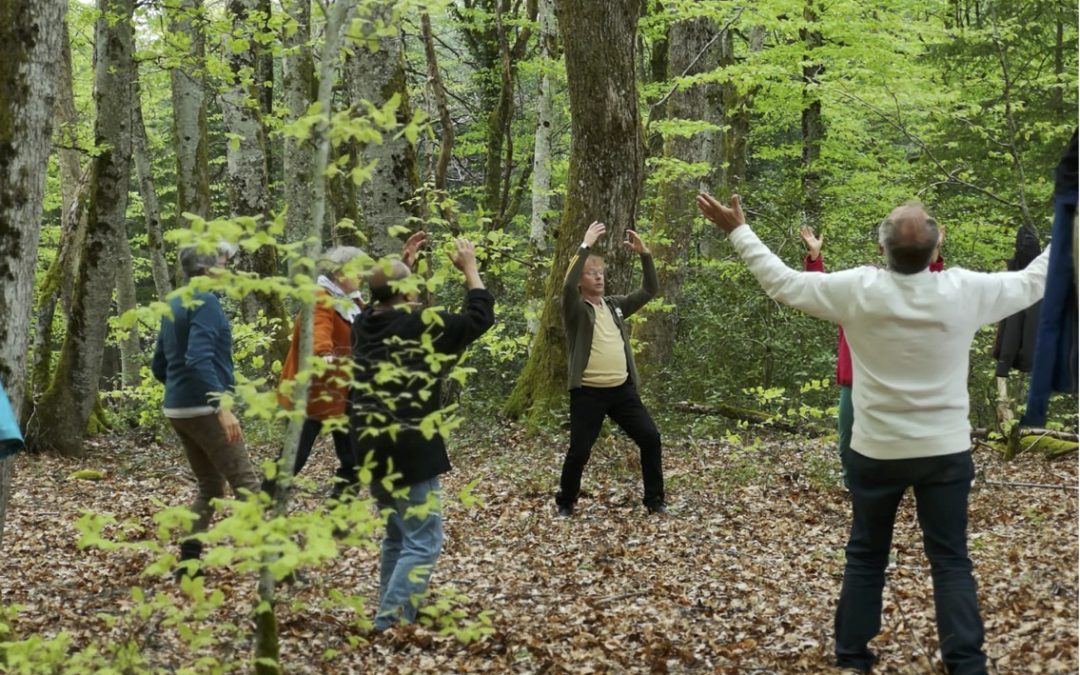Stichting Tai Chi Gong