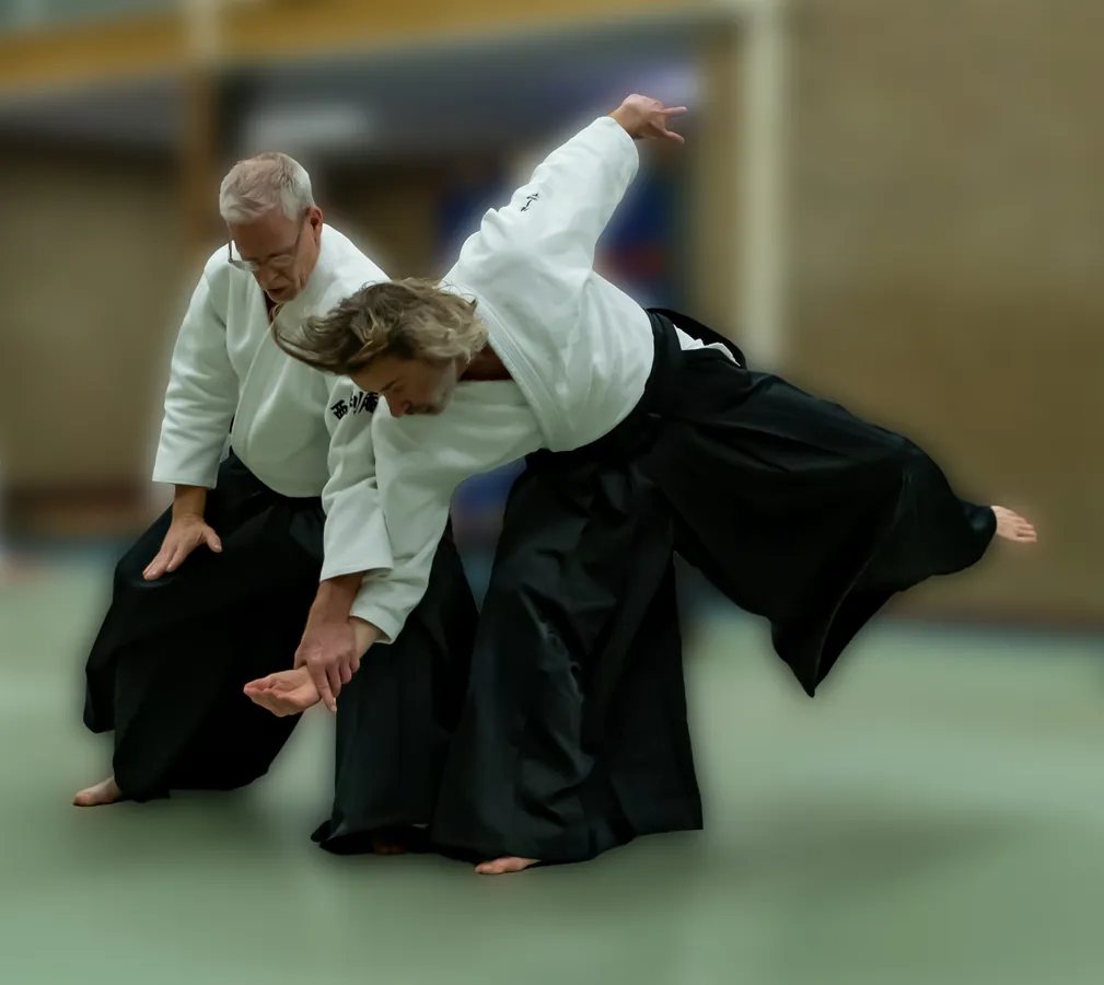 Ima Juku Aikido