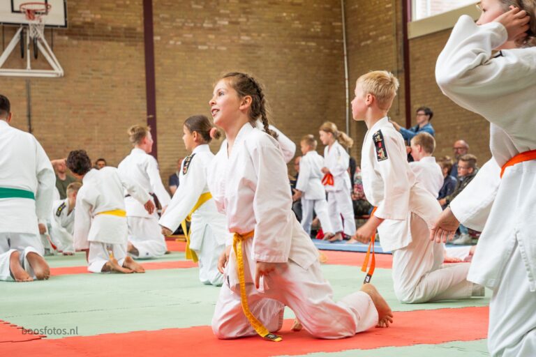 Judoschool Zwart