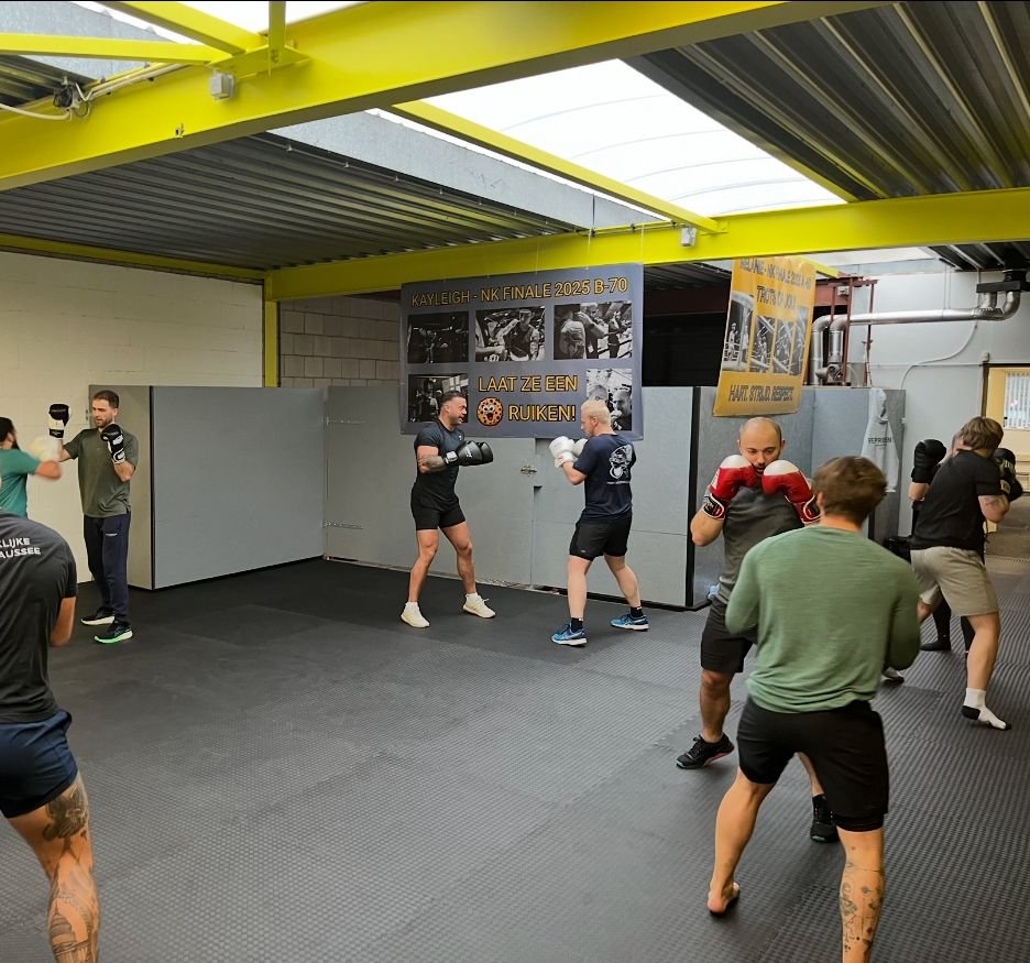 Nova BoxingGym