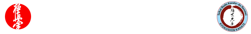 Kyokushin Karate Fernando Dojo logo