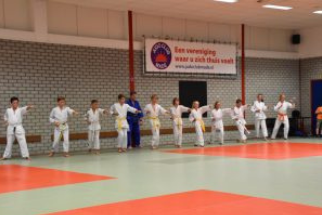 Judoclub Made