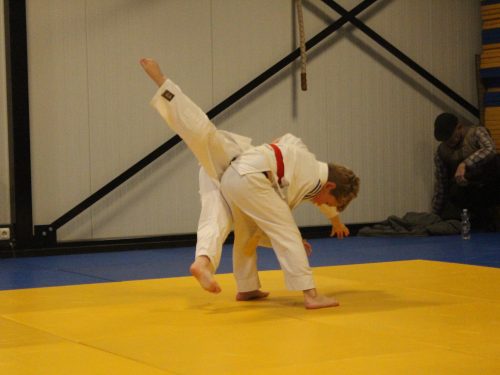 Judo Losser