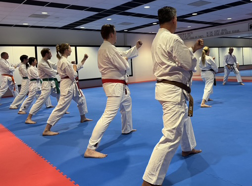 Karate-Do Kokoro