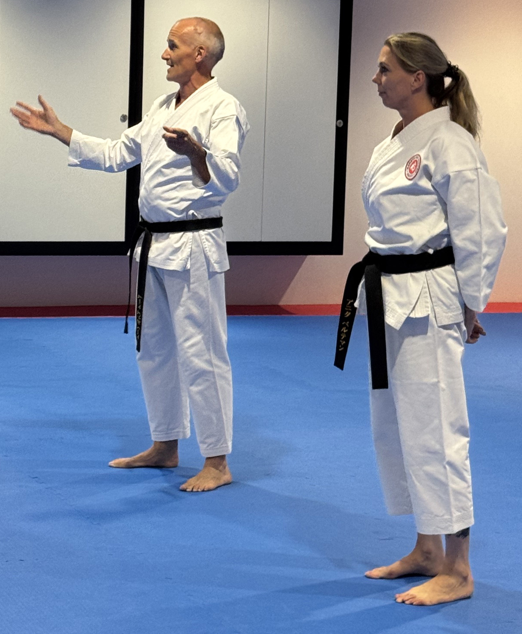 Karate-Do Kokoro