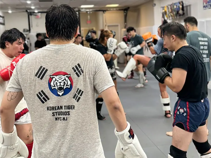 Korean Tiger Studios