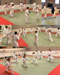 BudoKai Kokoro