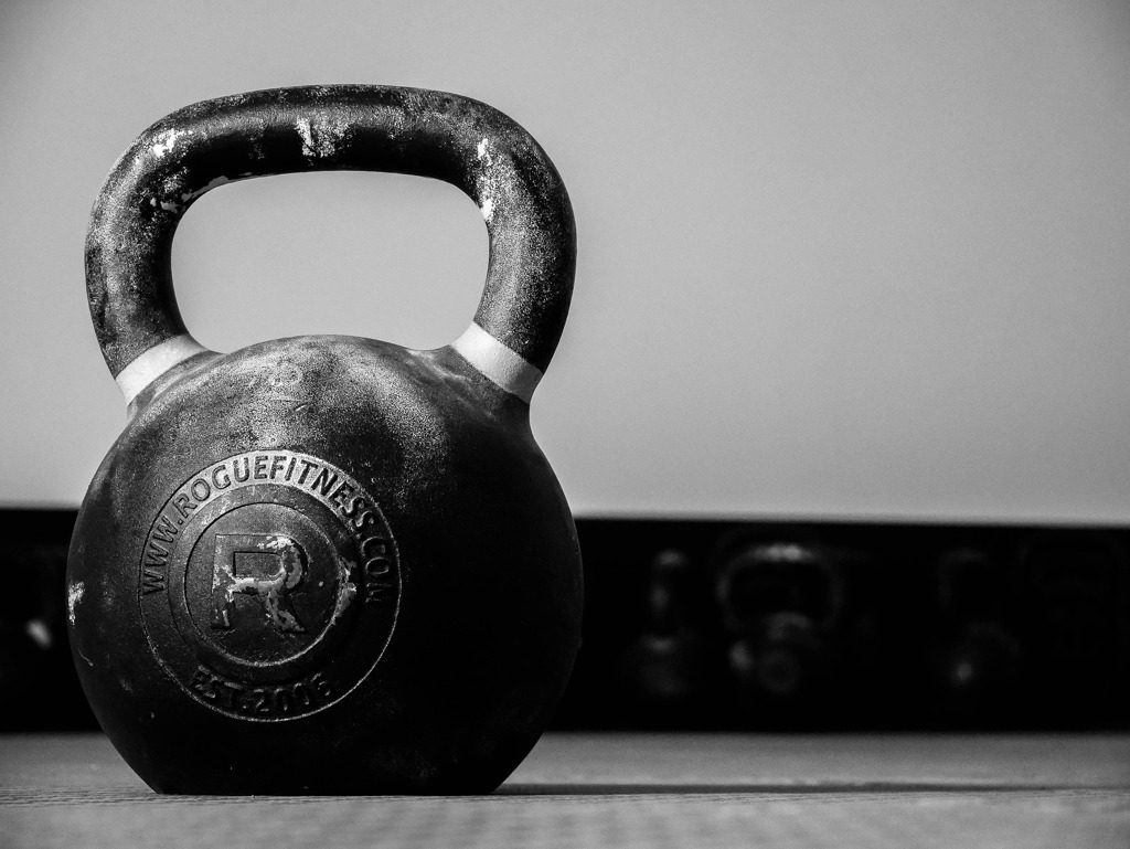 Alpha Male Gym
