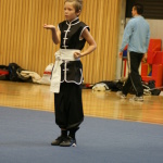 Boxaspen Hung Kuen Kung Fu