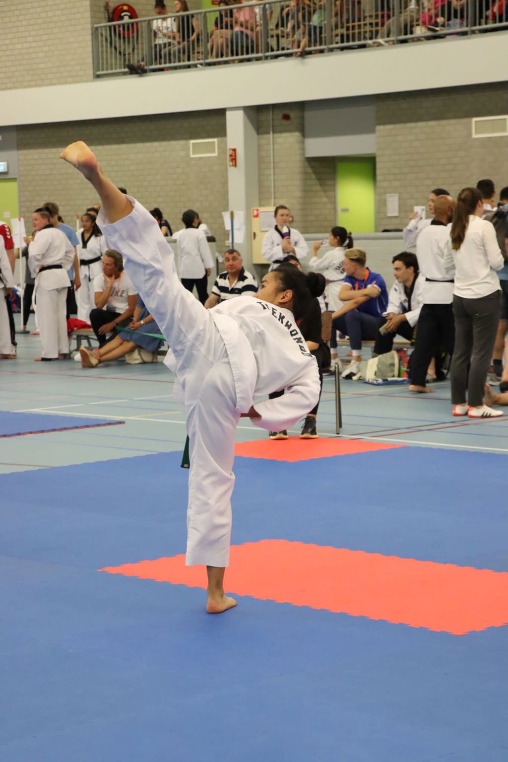 Taekwondo Pal-Jang