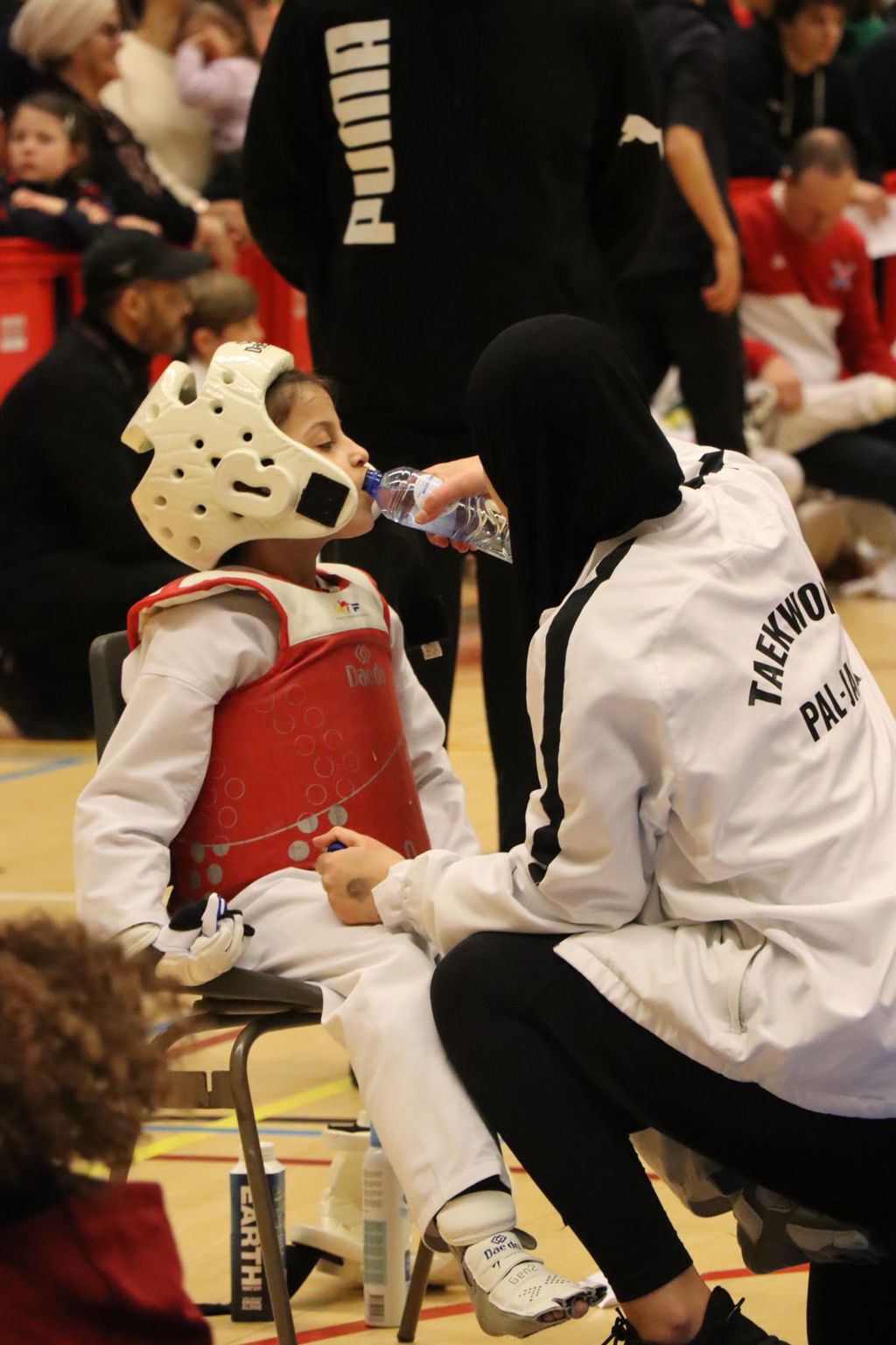 Taekwondo Pal-Jang