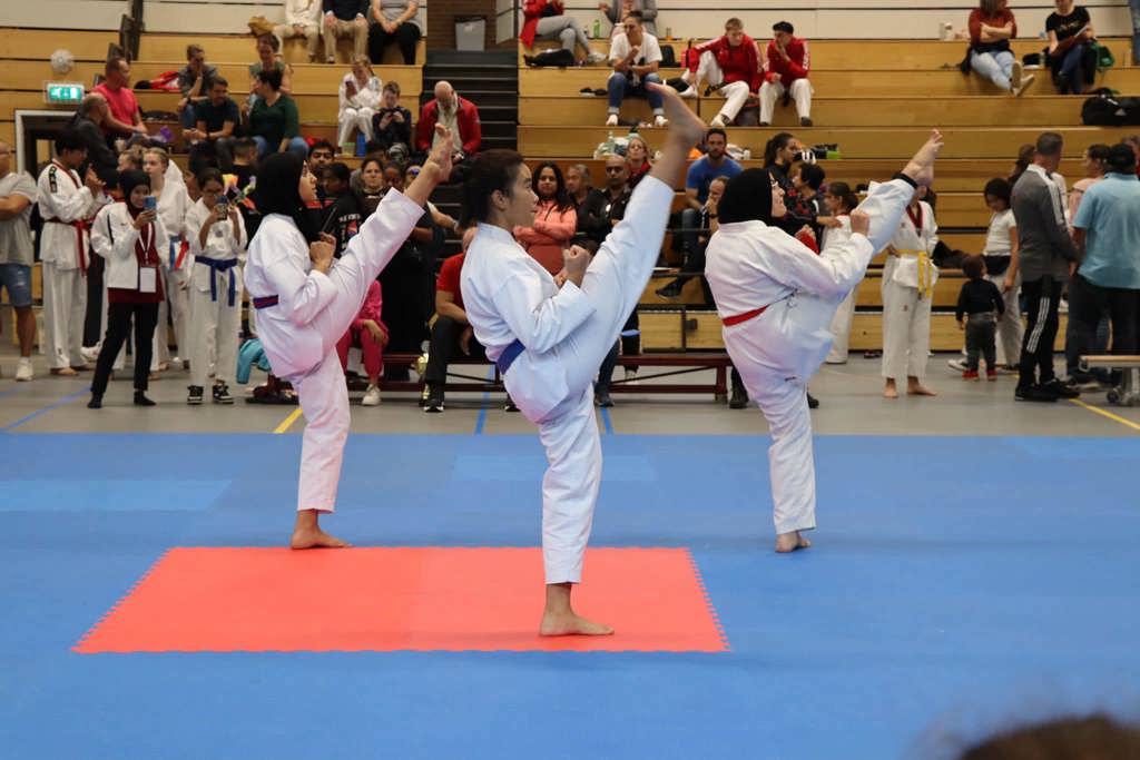 Taekwondo Pal-Jang