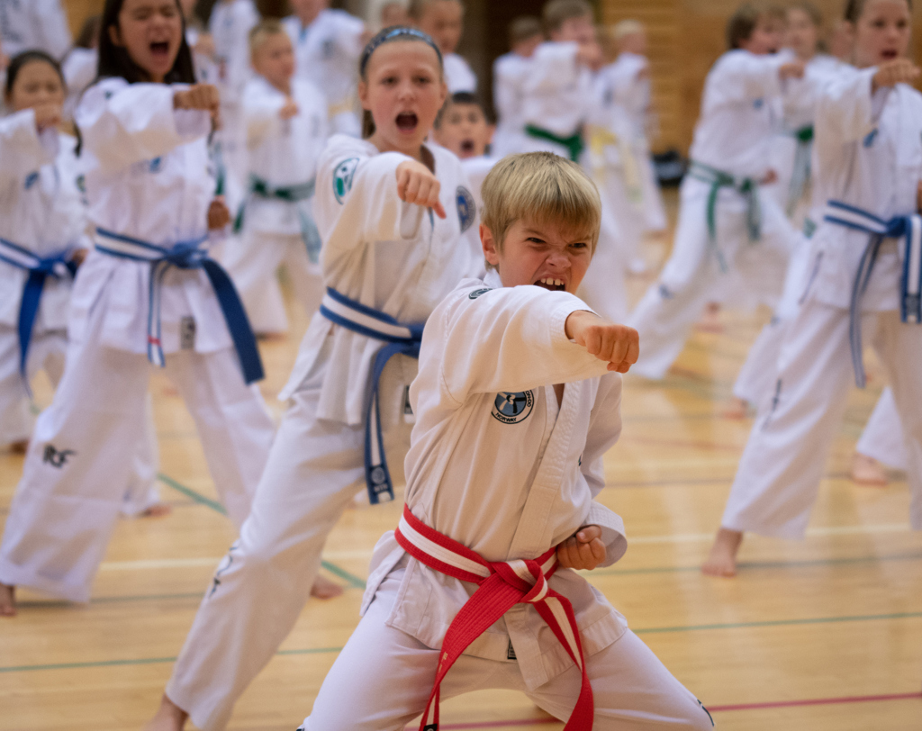 Bergen Taekwon-Do Klubb