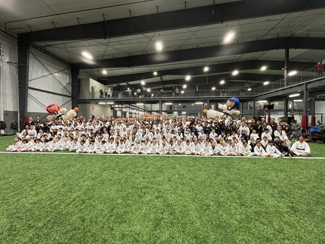 Tiger Black Belt Academy