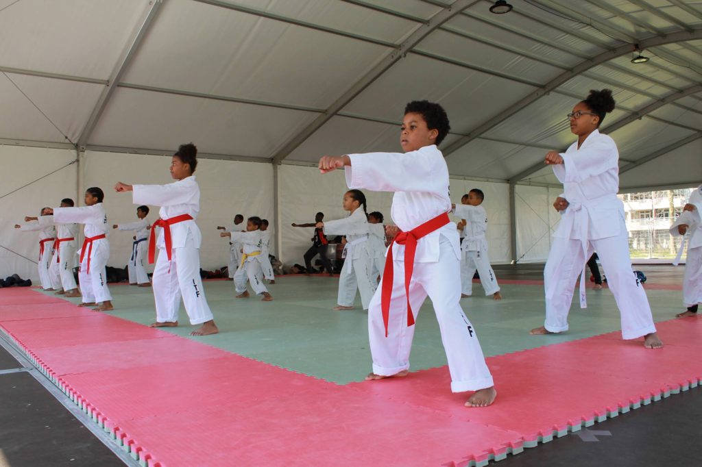 Taekwon-Do Kkamagwi