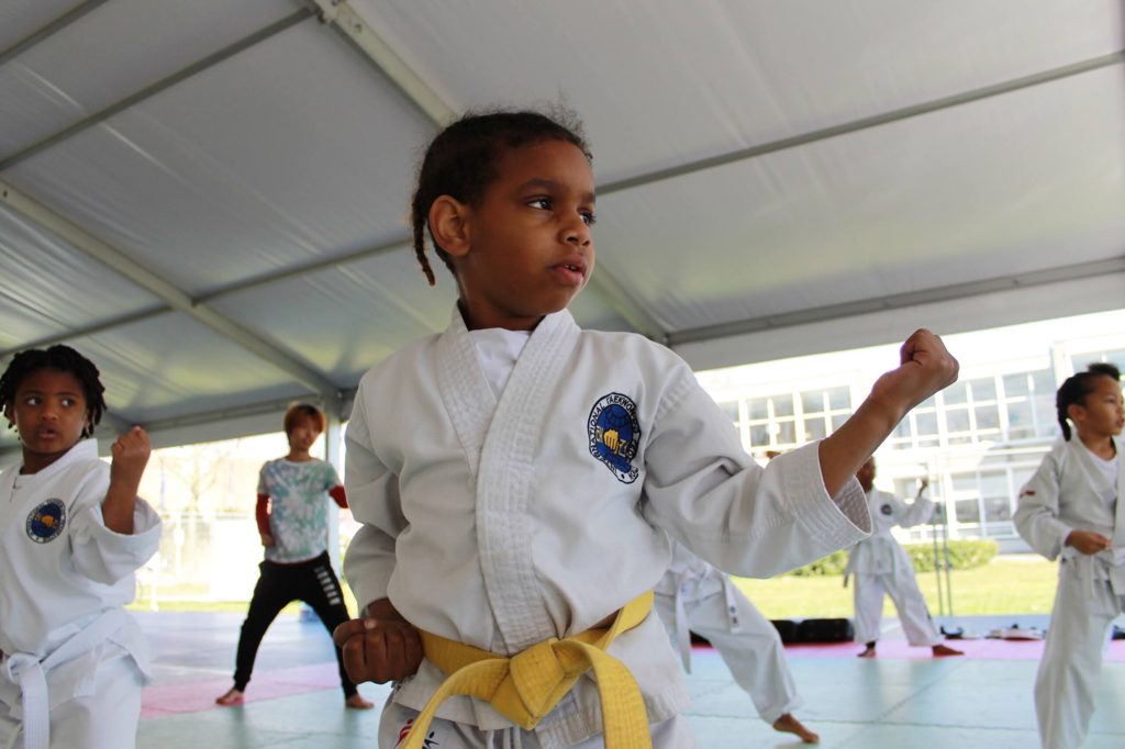Taekwon-Do Kkamagwi