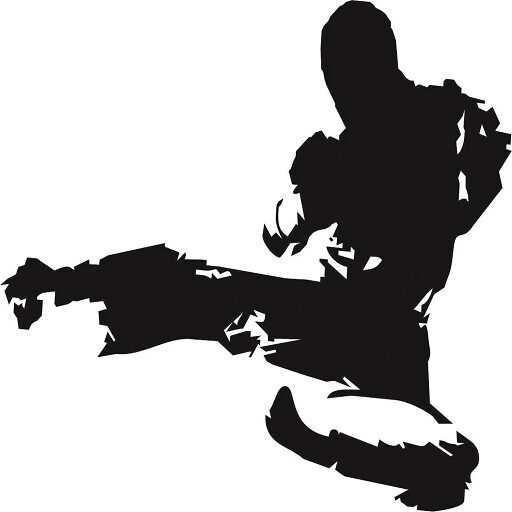 Top Taekwondo Eemland logo