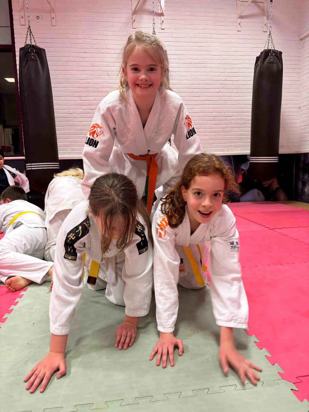Bushido Judo & Jiu-Jitsu