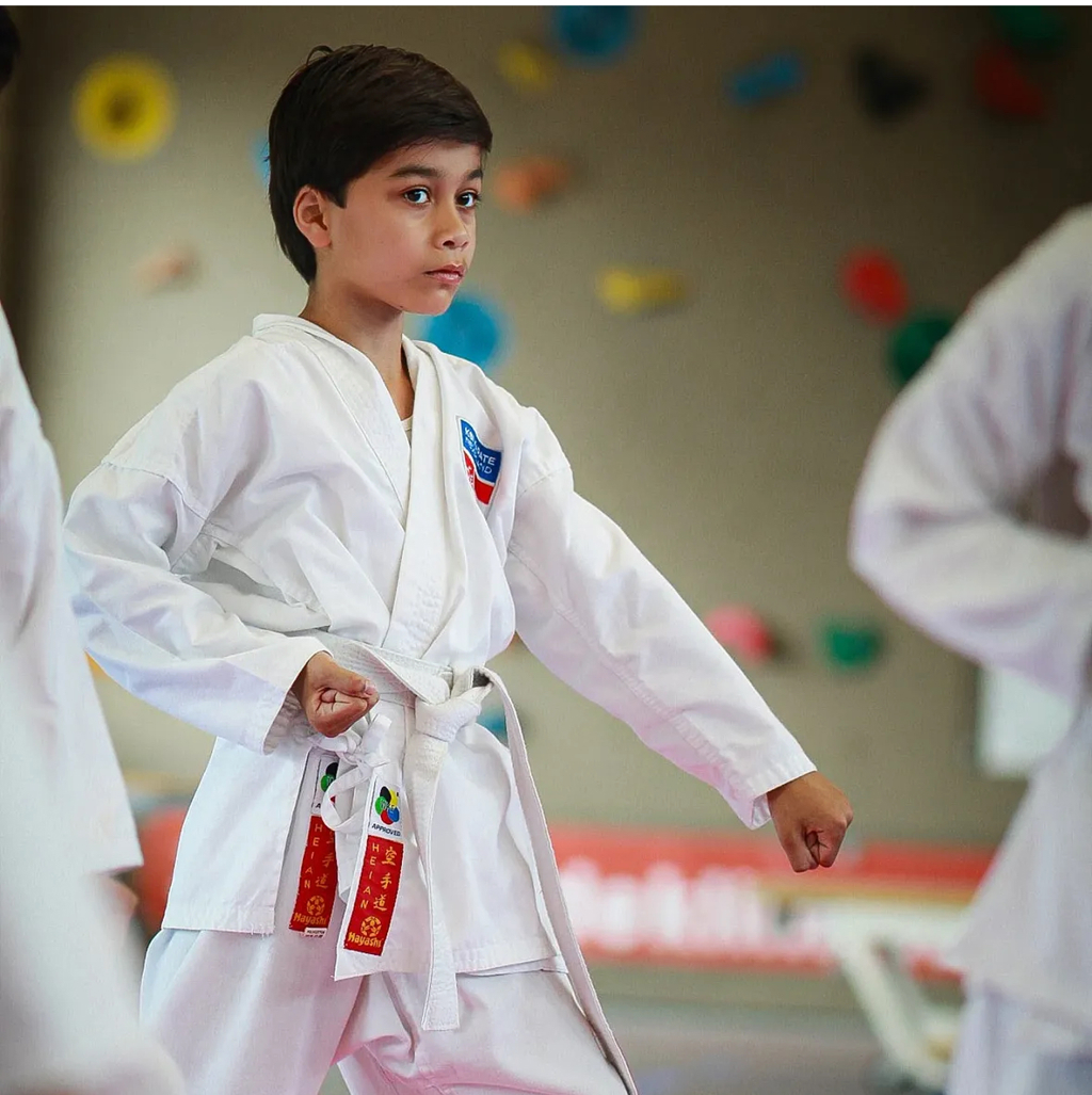 KSI Karate Nederland