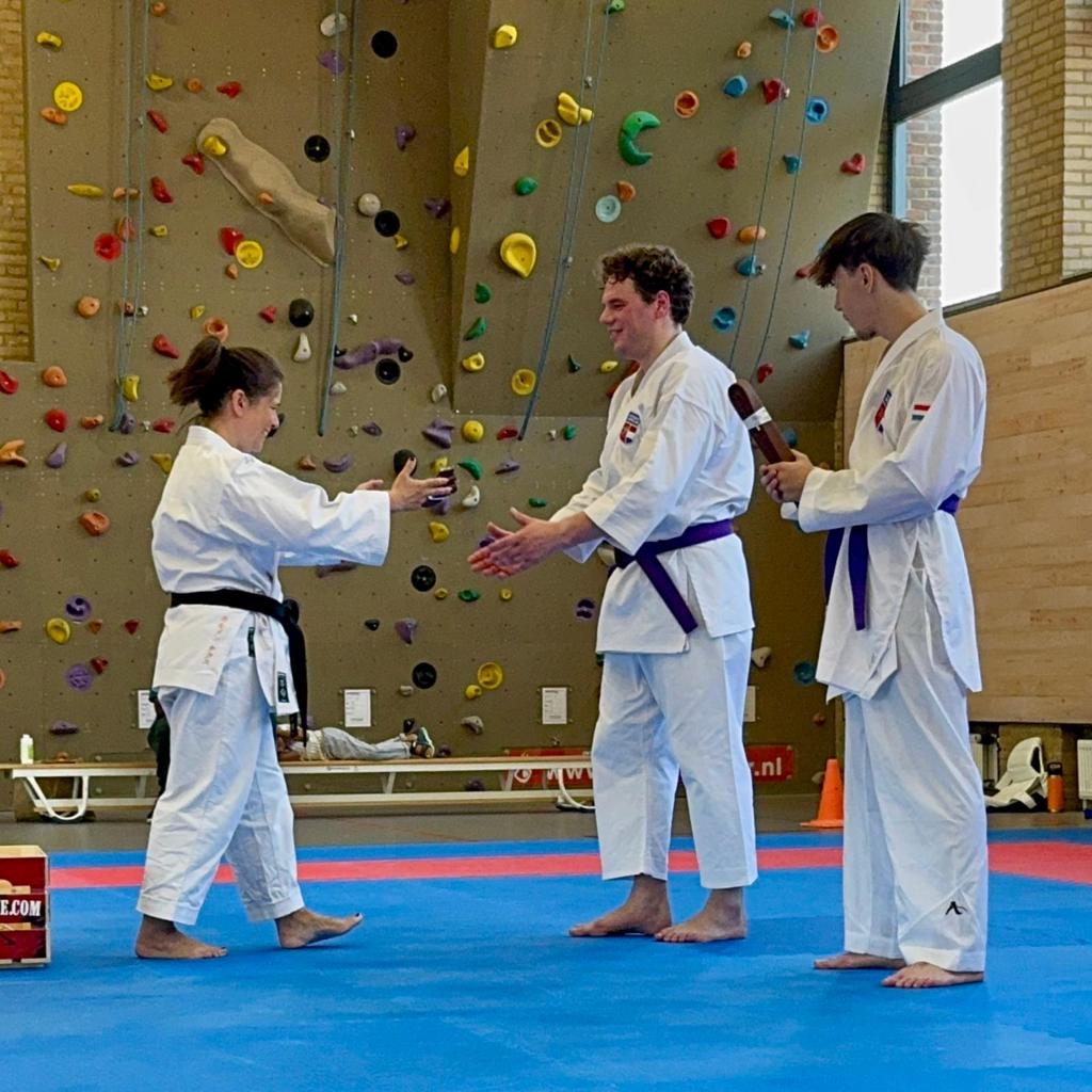 KSI Karate Nederland