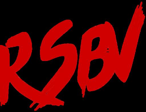 RSBV Erasmus Boxing logo
