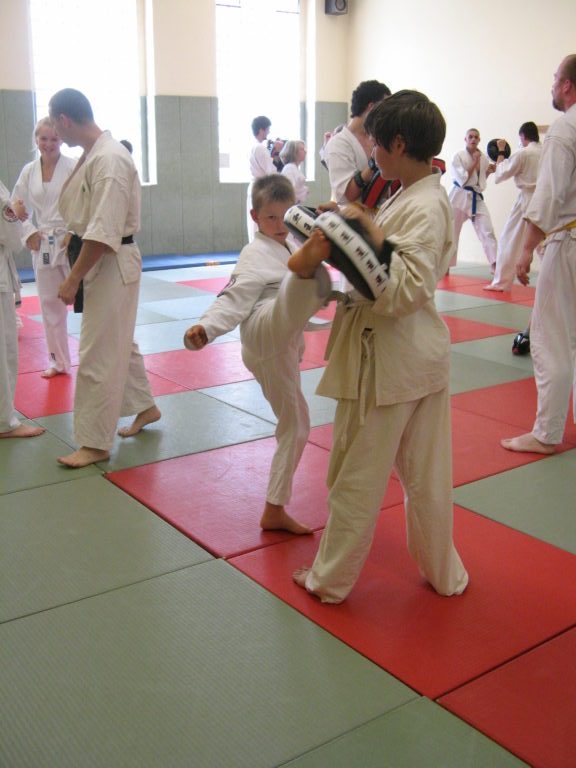 Fudoshin Dojo