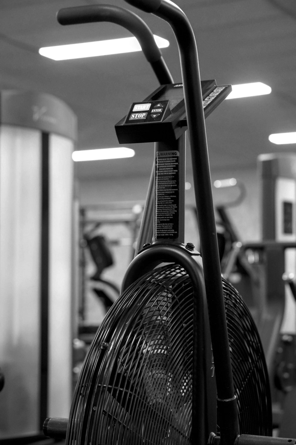 Fitt Academy Masato