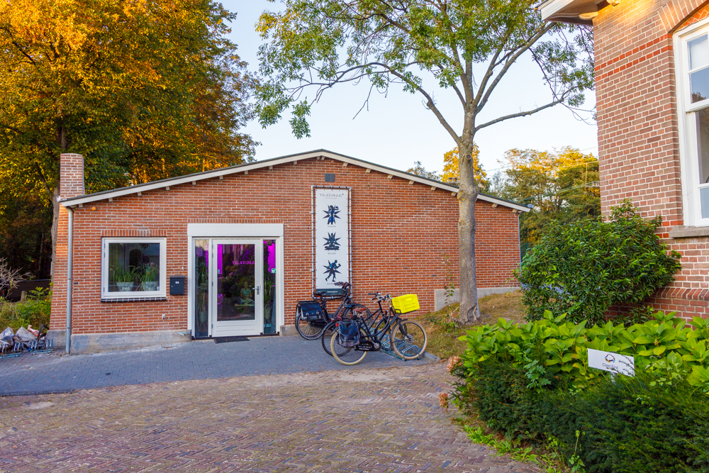 't Klaslokaal