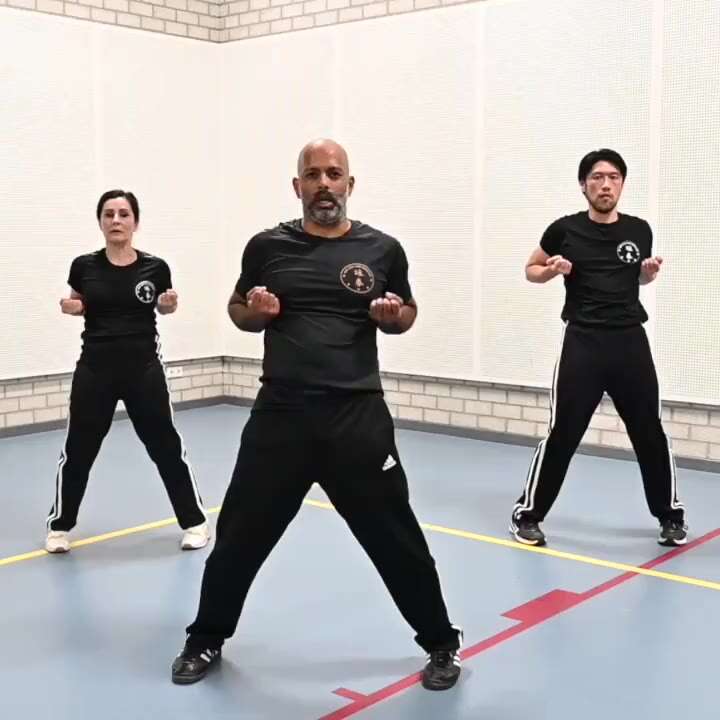 Bats Academy