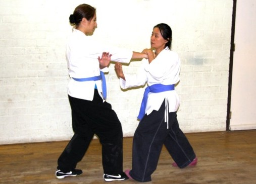 How Chuen Monkey Kung Fu