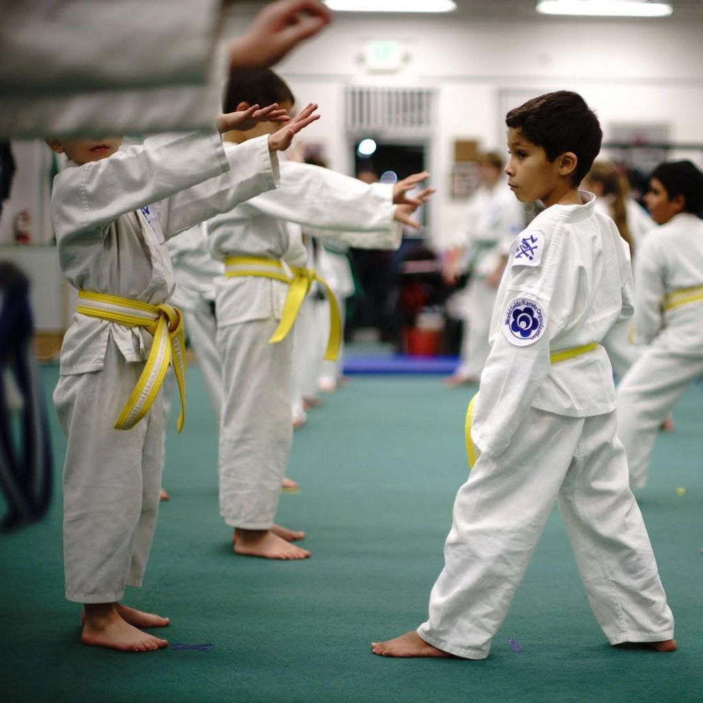 Kells Karate Academy