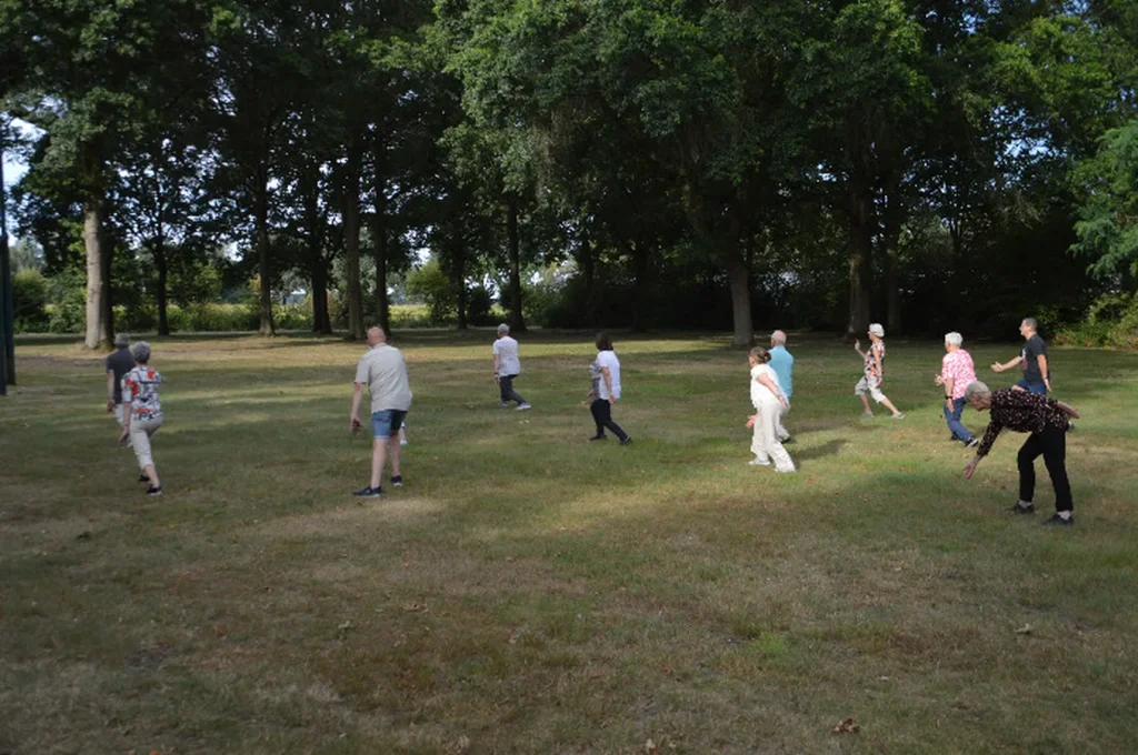 Tai Chi Budel