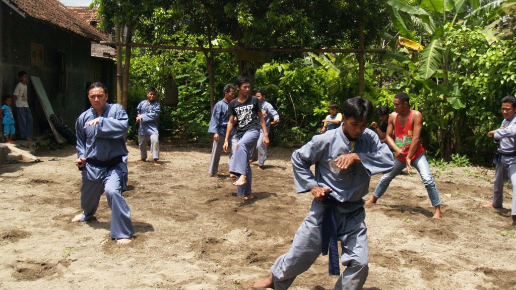 Perguruan Pencak Silat Pamor Badai