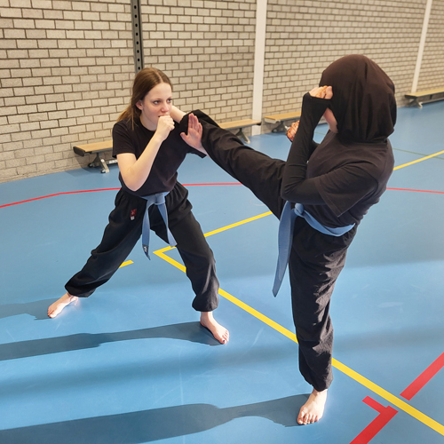 Pencak Silat Garuda