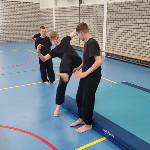 Pencak Silat Garuda