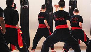Perguruan Pencak Silat Manyang