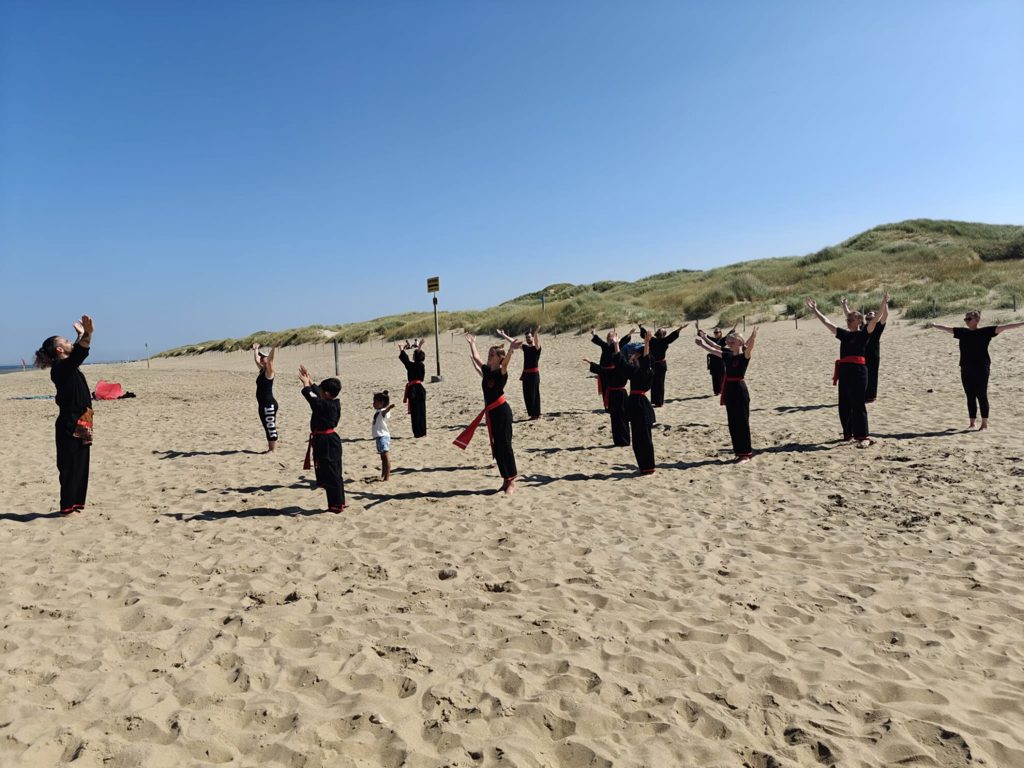Perguruan Pencak Silat Manyang