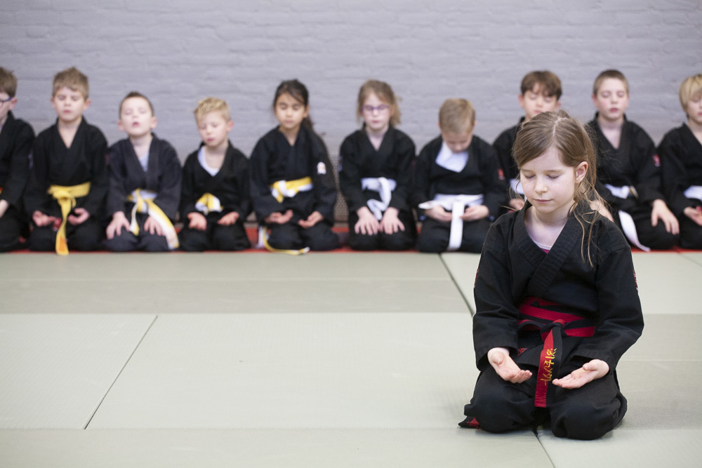 Shin Sei Ryu
