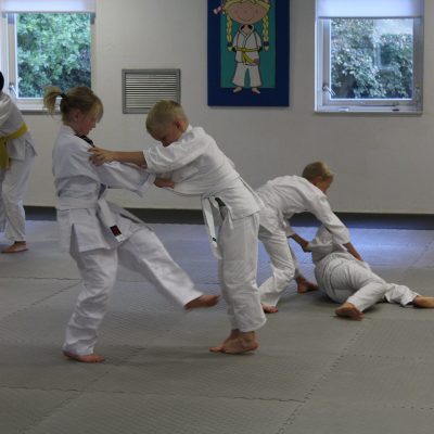 Self Defense Harold v/d Rijst