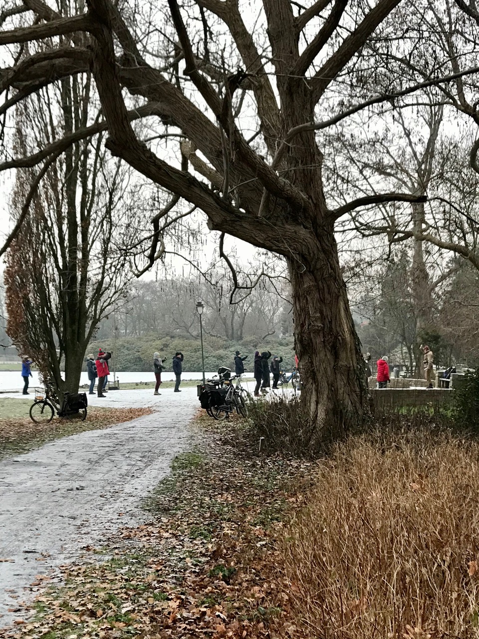 Tai Chi Groningen
