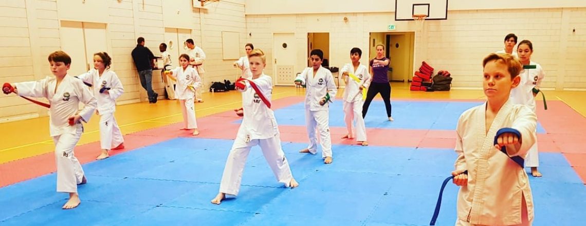 Taekwon-Do School Amsterdam