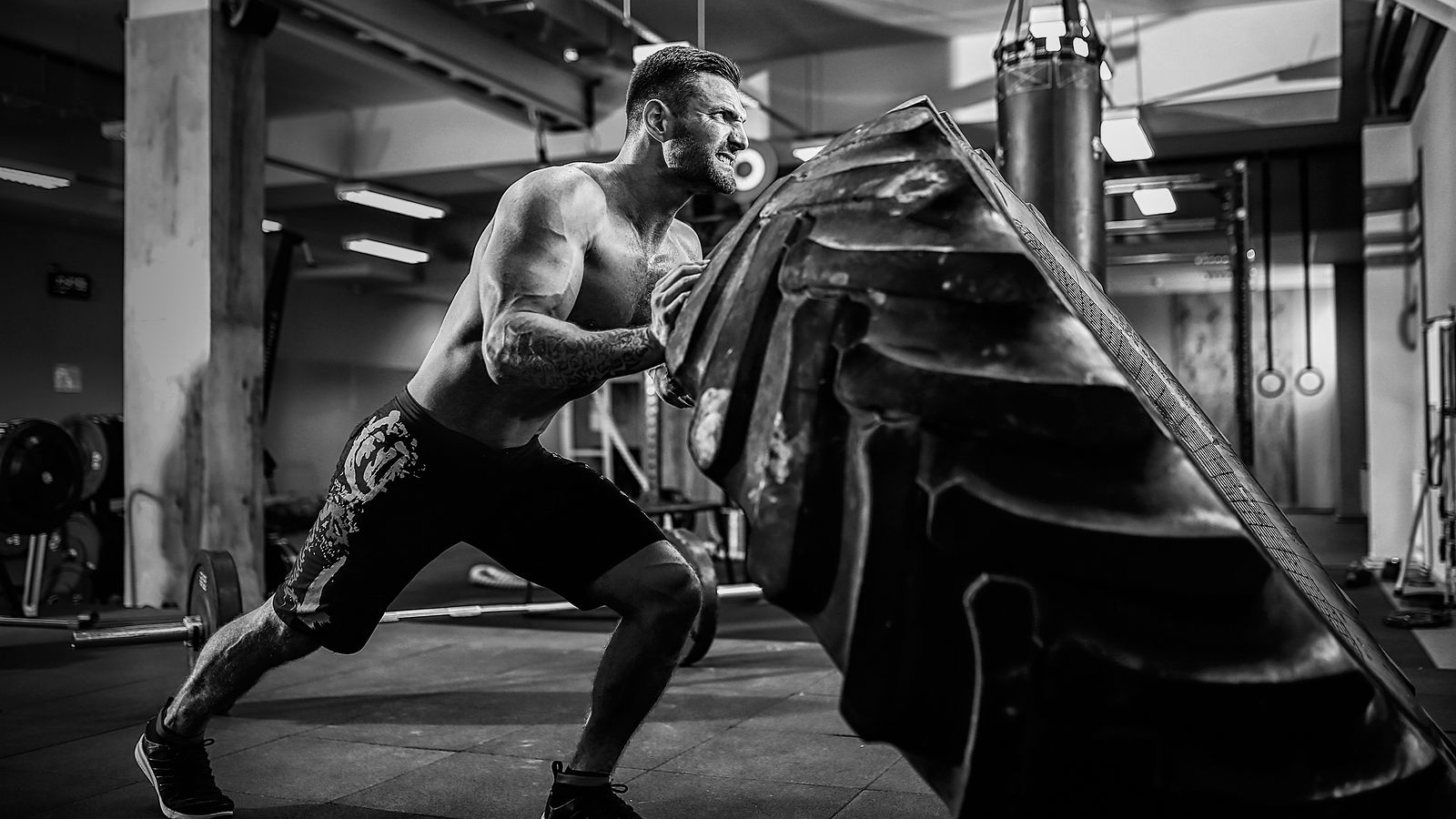 Undisputed Fitness Challenge