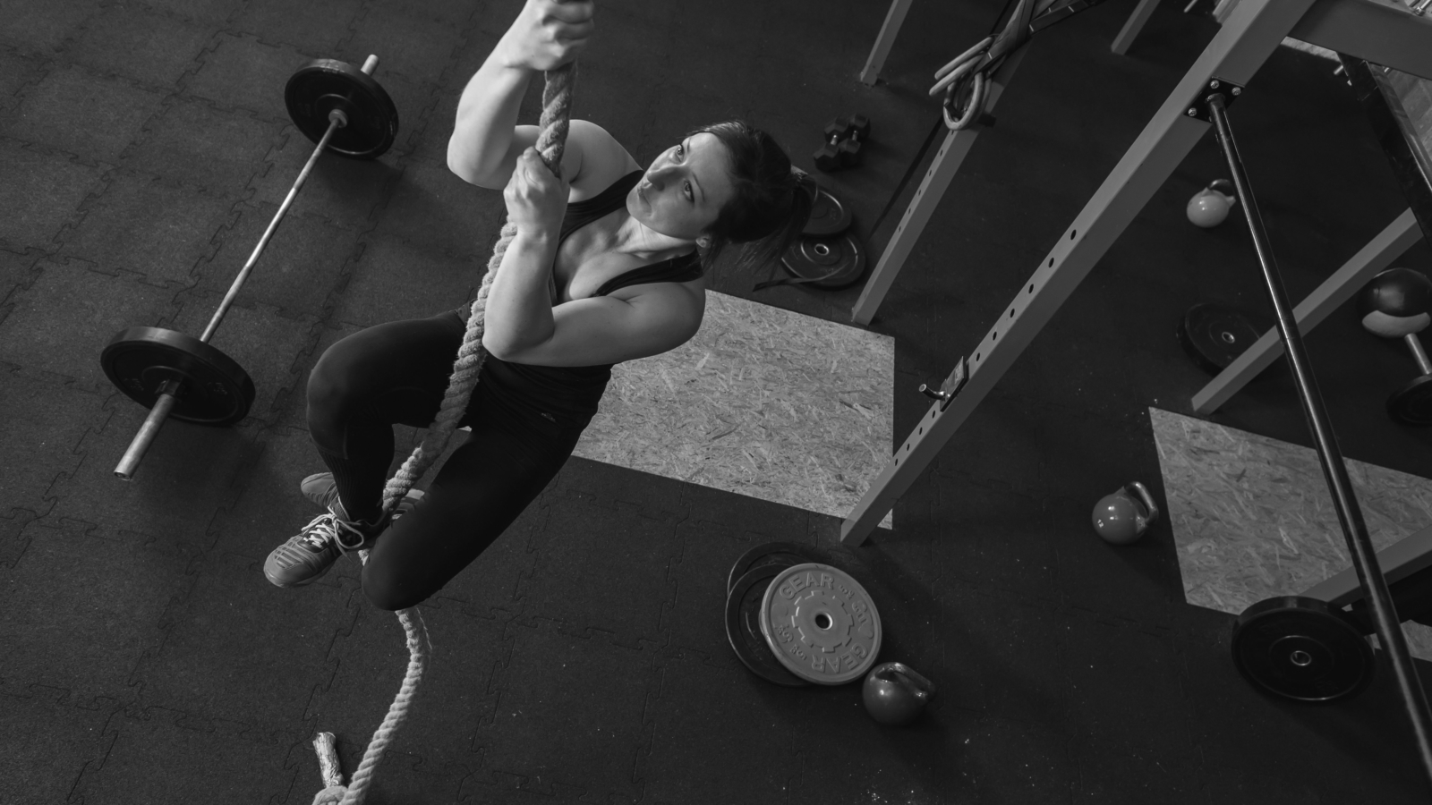 Undisputed Fitness Challenge