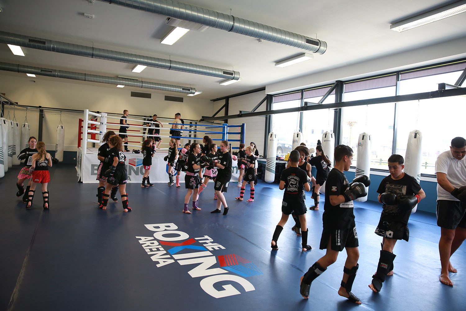 The Boxing Arena