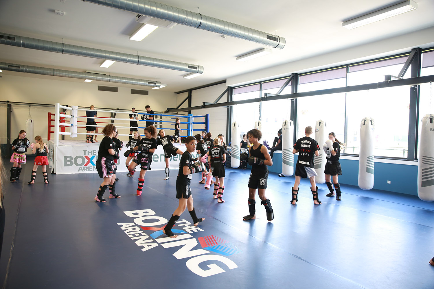 The Boxing Arena