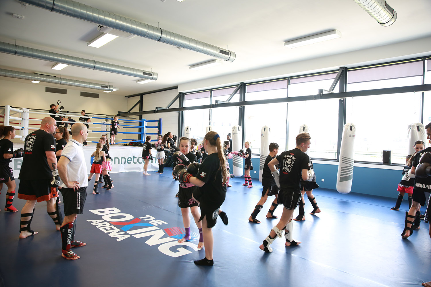 The Boxing Arena
