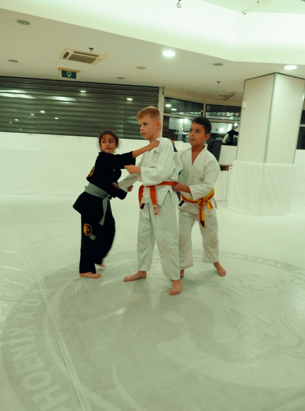 Phœnix A.D.A Martial Arts