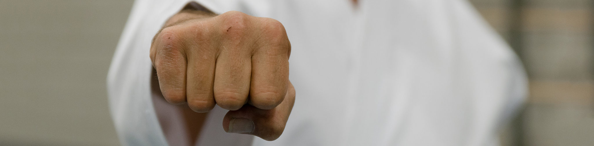 Karate-do Youkou Breda